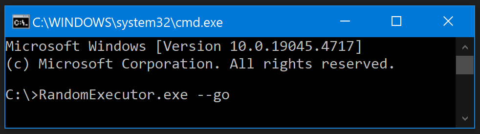 Screenshot of a terminal window launching Random Executor with the --go parameter